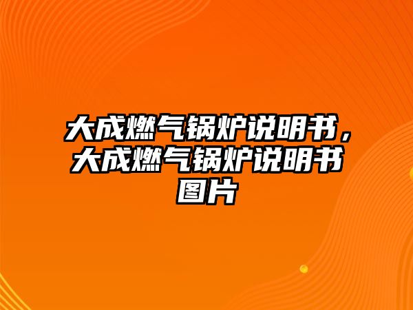 大成燃?xì)忮仩t說(shuō)明書，大成燃?xì)忮仩t說(shuō)明書圖片