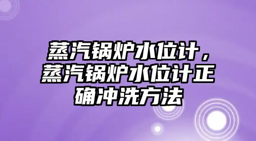 蒸汽鍋爐水位計，蒸汽鍋爐水位計正確沖洗方法