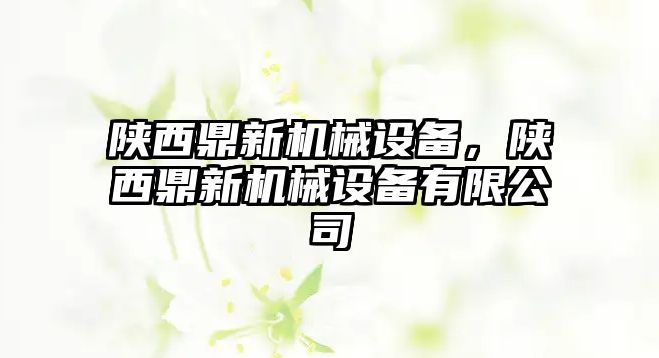 陜西鼎新機械設(shè)備，陜西鼎新機械設(shè)備有限公司