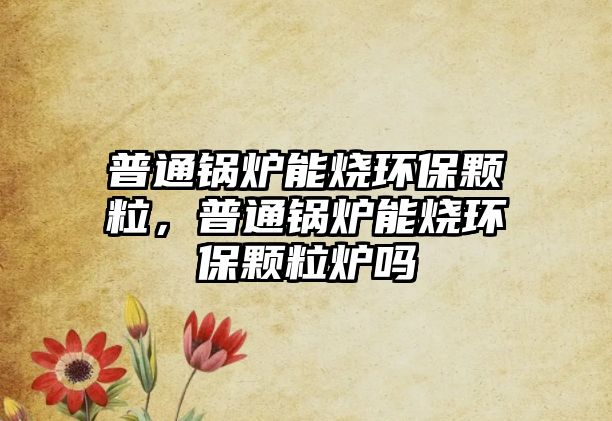 普通鍋爐能燒環(huán)保顆粒，普通鍋爐能燒環(huán)保顆粒爐嗎