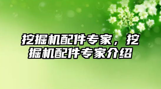 挖掘機配件專家，挖掘機配件專家介紹