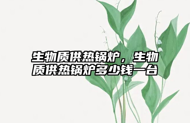 生物質(zhì)供熱鍋爐，生物質(zhì)供熱鍋爐多少錢一臺