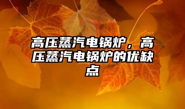 高壓蒸汽電鍋爐，高壓蒸汽電鍋爐的優(yōu)缺點(diǎn)