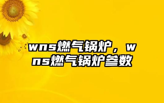 wns燃?xì)忮仩t，wns燃?xì)忮仩t參數(shù)