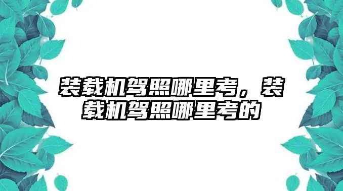 裝載機駕照哪里考，裝載機駕照哪里考的