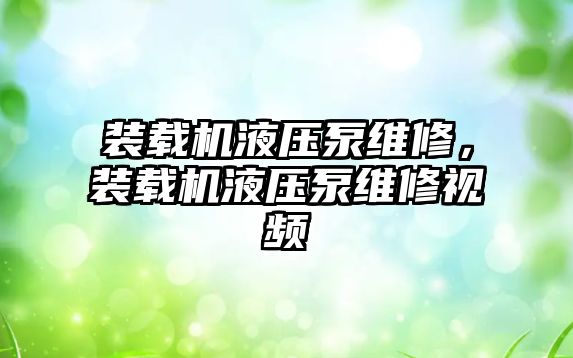 裝載機液壓泵維修，裝載機液壓泵維修視頻