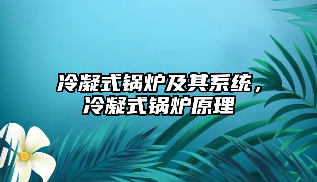 冷凝式鍋爐及其系統(tǒng)，冷凝式鍋爐原理