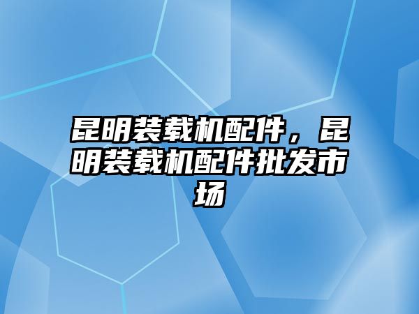 昆明裝載機(jī)配件，昆明裝載機(jī)配件批發(fā)市場