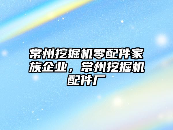 常州挖掘機零配件家族企業(yè)，常州挖掘機配件廠