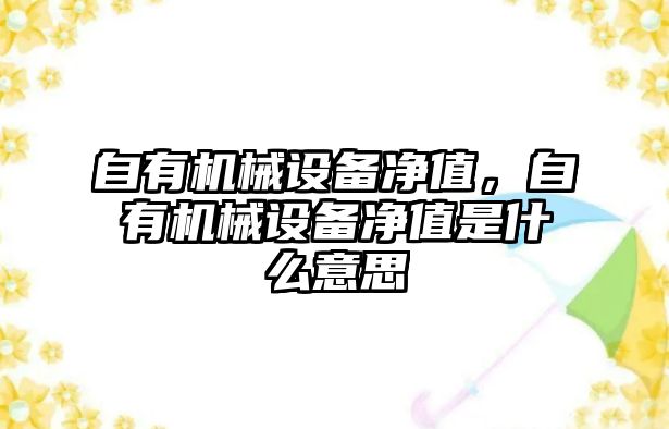 自有機(jī)械設(shè)備凈值，自有機(jī)械設(shè)備凈值是什么意思