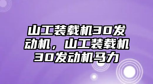 山工裝載機30發(fā)動機，山工裝載機30發(fā)動機馬力