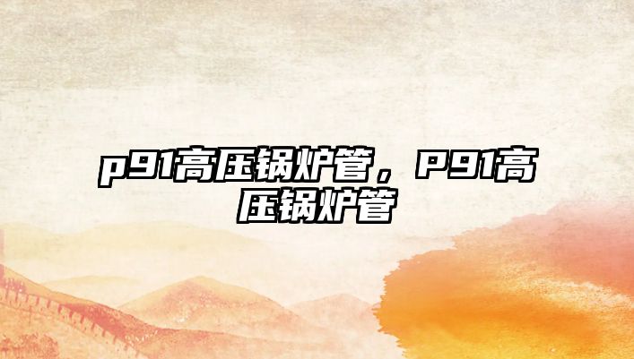 p91高壓鍋爐管，P91高壓鍋爐管