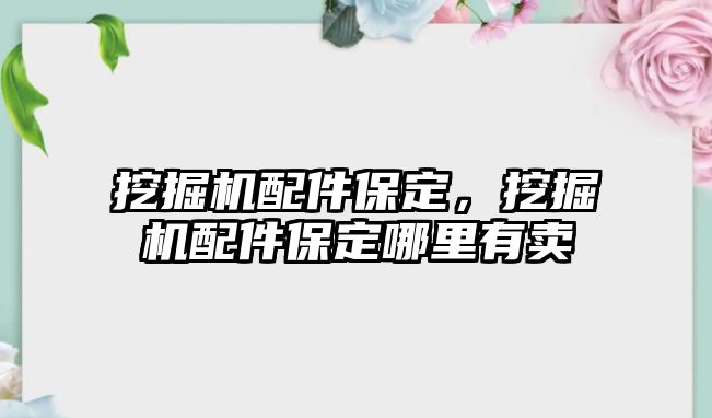 挖掘機配件保定，挖掘機配件保定哪里有賣