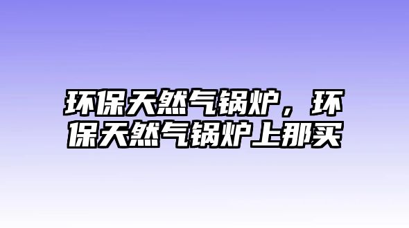 環(huán)保天然氣鍋爐，環(huán)保天然氣鍋爐上那買