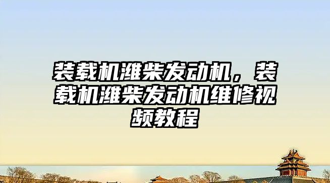 裝載機濰柴發(fā)動機，裝載機濰柴發(fā)動機維修視頻教程