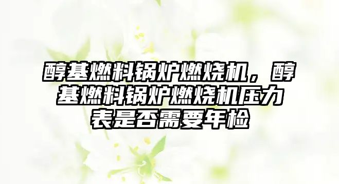 醇基燃料鍋爐燃燒機，醇基燃料鍋爐燃燒機壓力表是否需要年檢