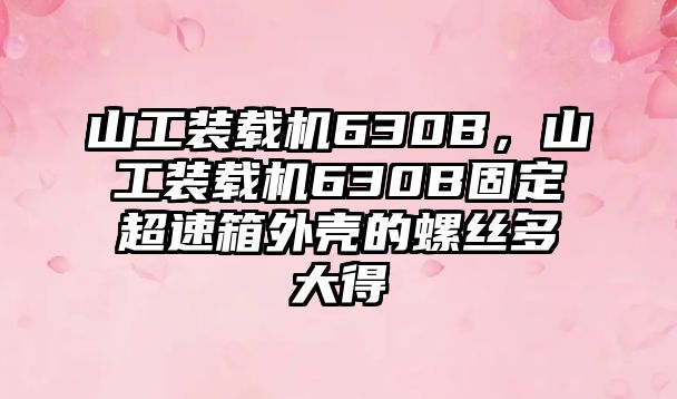 山工裝載機(jī)630B，山工裝載機(jī)630B固定超速箱外殼的螺絲多大得