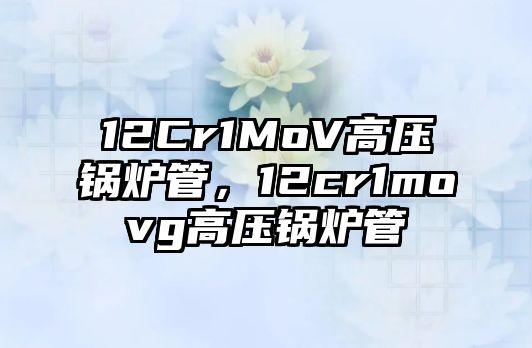 12Cr1MoV高壓鍋爐管，12cr1movg高壓鍋爐管