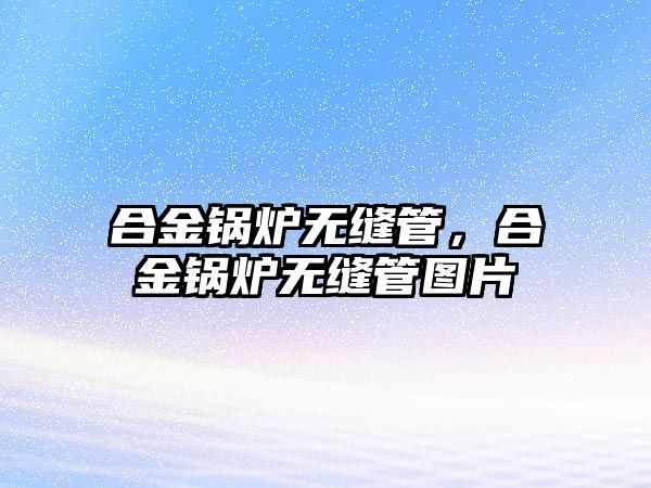 合金鍋爐無縫管，合金鍋爐無縫管圖片