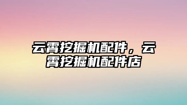 云霄挖掘機配件，云霄挖掘機配件店