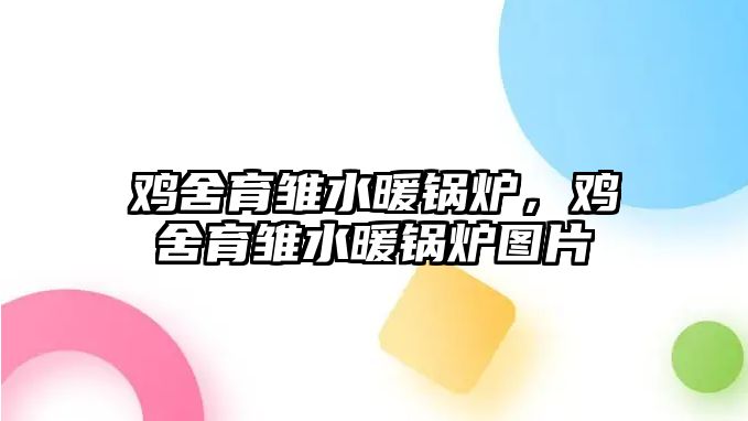 雞舍育雛水暖鍋爐，雞舍育雛水暖鍋爐圖片