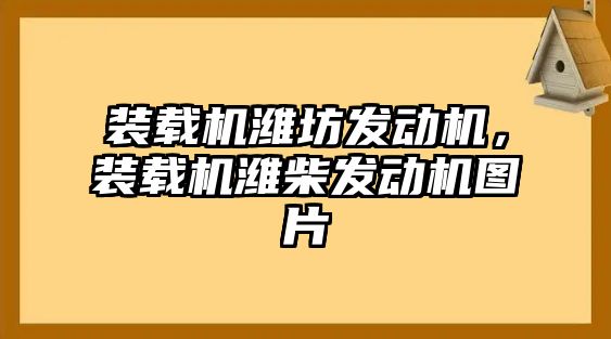 裝載機(jī)濰坊發(fā)動機(jī)，裝載機(jī)濰柴發(fā)動機(jī)圖片