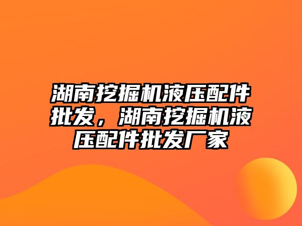 湖南挖掘機液壓配件批發(fā)，湖南挖掘機液壓配件批發(fā)廠家