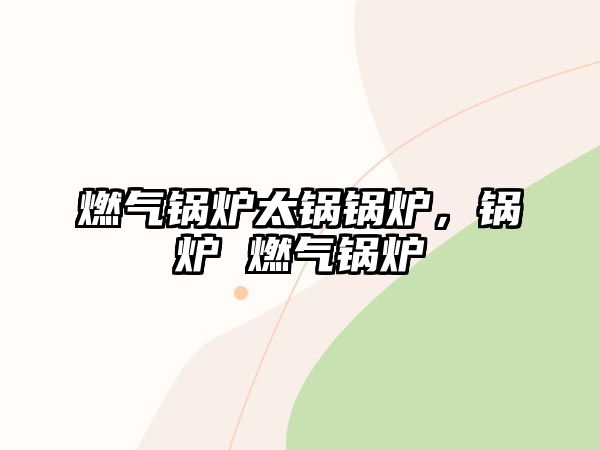 燃?xì)忮仩t太鍋鍋爐，鍋爐 燃?xì)忮仩t