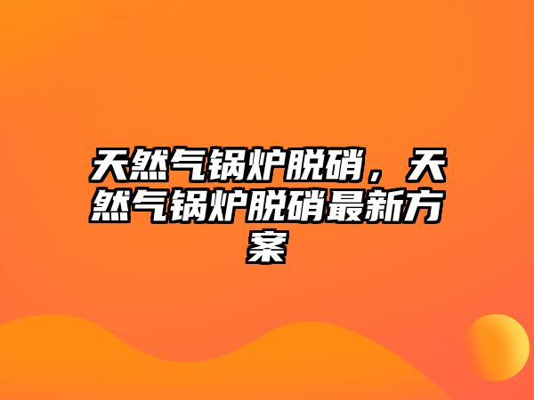 天然氣鍋爐脫硝，天然氣鍋爐脫硝最新方案