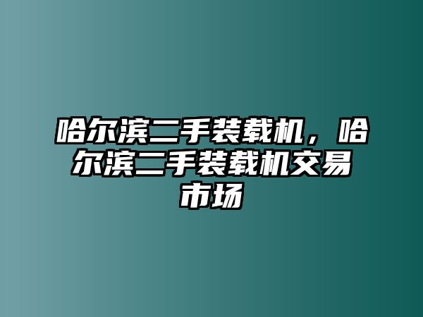 哈爾濱二手裝載機(jī)，哈爾濱二手裝載機(jī)交易市場(chǎng)