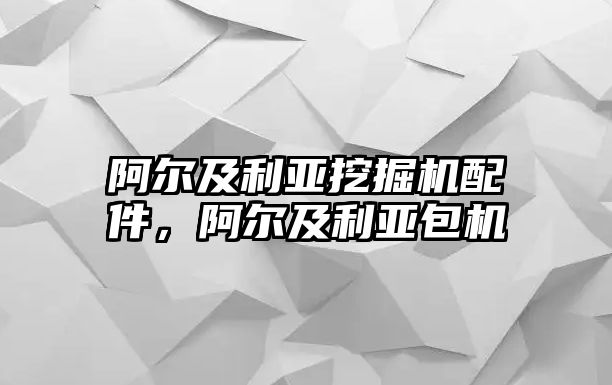 阿爾及利亞挖掘機配件，阿爾及利亞包機