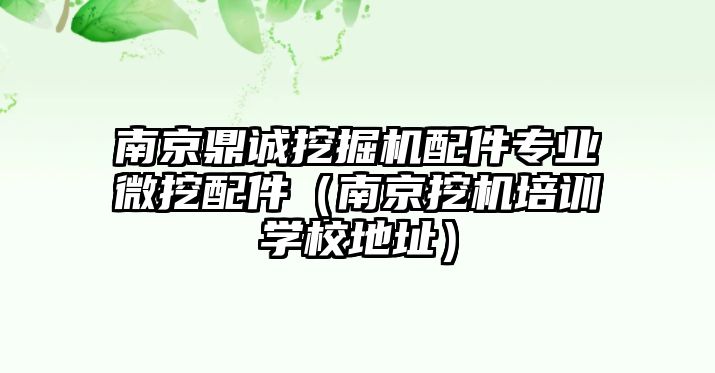 南京鼎誠挖掘機配件專業(yè)微挖配件（南京挖機培訓(xùn)學(xué)校地址）