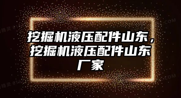 挖掘機液壓配件山東，挖掘機液壓配件山東廠家