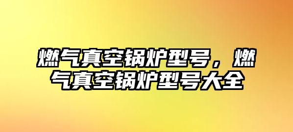 燃?xì)庹婵斟仩t型號，燃?xì)庹婵斟仩t型號大全