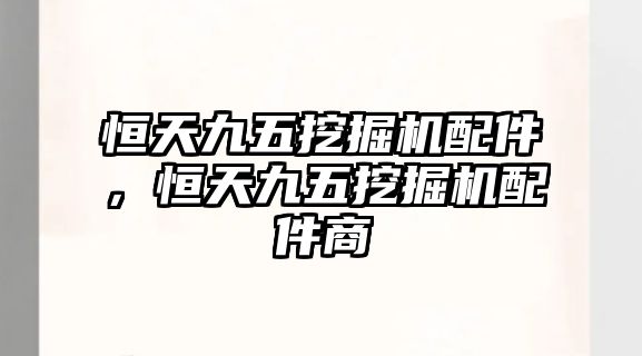 恒天九五挖掘機(jī)配件，恒天九五挖掘機(jī)配件商