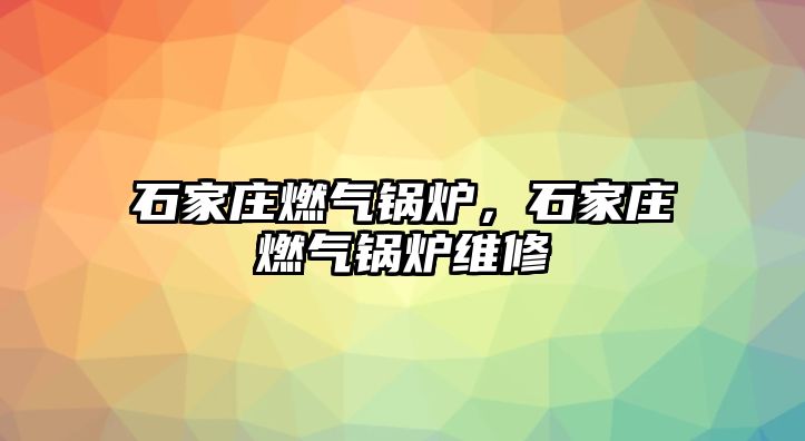 石家莊燃?xì)忮仩t，石家莊燃?xì)忮仩t維修