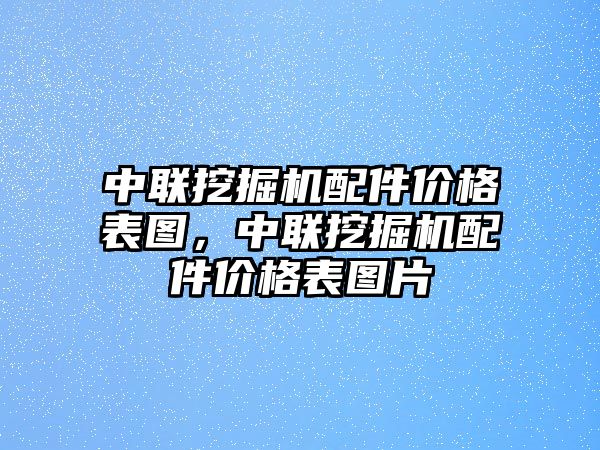 中聯(lián)挖掘機配件價格表圖，中聯(lián)挖掘機配件價格表圖片