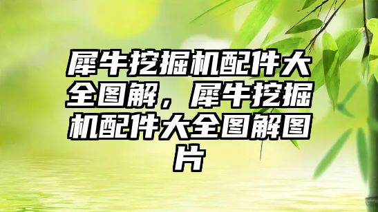 犀牛挖掘機配件大全圖解，犀牛挖掘機配件大全圖解圖片