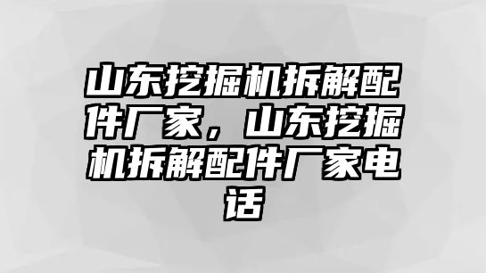 山東挖掘機(jī)拆解配件廠家，山東挖掘機(jī)拆解配件廠家電話