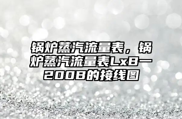 鍋爐蒸汽流量表，鍋爐蒸汽流量表LxB一200B的接線圖