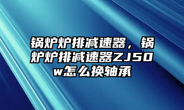 鍋爐爐排減速器，鍋爐爐排減速器ZJ50w怎么換軸承