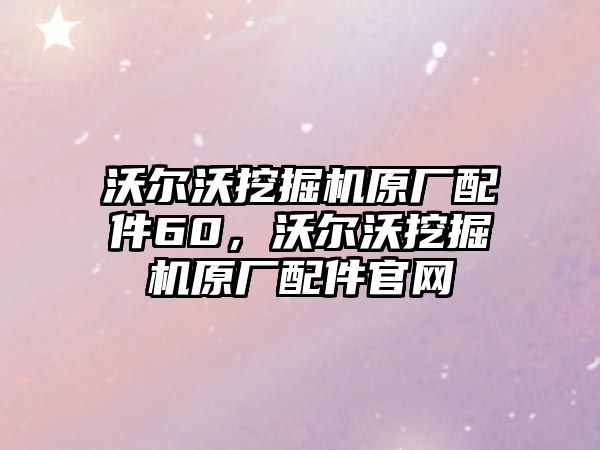 沃爾沃挖掘機(jī)原廠配件60，沃爾沃挖掘機(jī)原廠配件官網(wǎng)