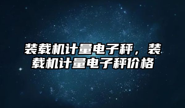 裝載機(jī)計(jì)量電子秤，裝載機(jī)計(jì)量電子秤價(jià)格