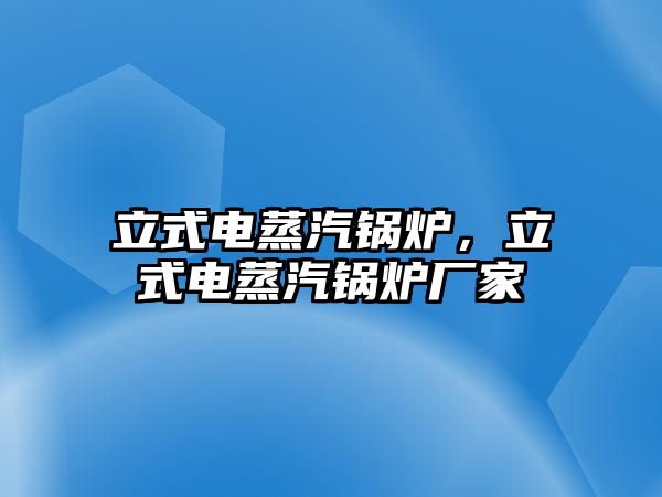 立式電蒸汽鍋爐，立式電蒸汽鍋爐廠(chǎng)家