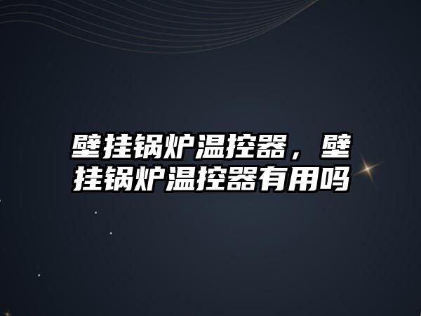 壁掛鍋爐溫控器，壁掛鍋爐溫控器有用嗎