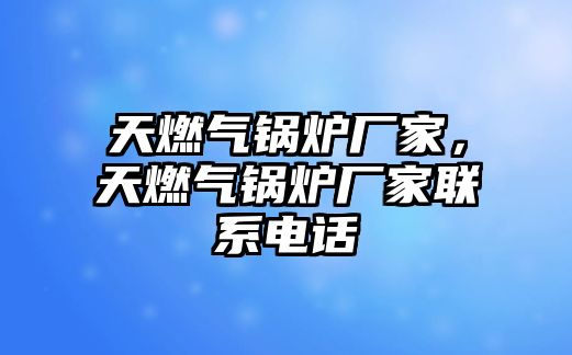 天燃?xì)忮仩t廠家，天燃?xì)忮仩t廠家聯(lián)系電話