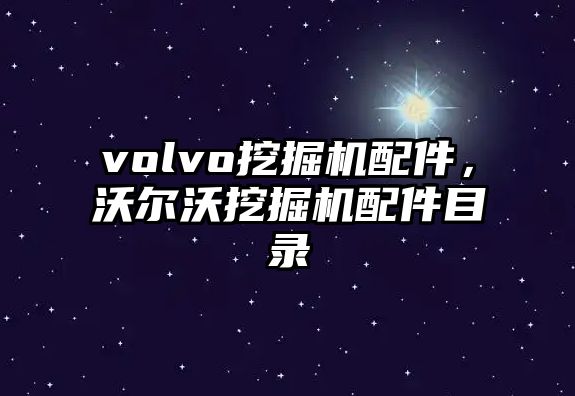 volvo挖掘機配件，沃爾沃挖掘機配件目錄