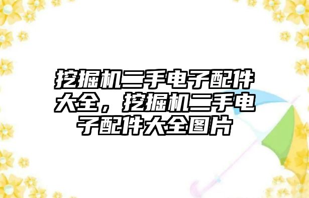 挖掘機(jī)二手電子配件大全，挖掘機(jī)二手電子配件大全圖片