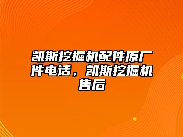 凱斯挖掘機(jī)配件原廠件電話，凱斯挖掘機(jī)售后