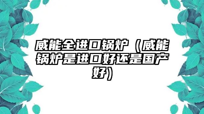 威能全進(jìn)口鍋爐（威能鍋爐是進(jìn)口好還是國產(chǎn)好）